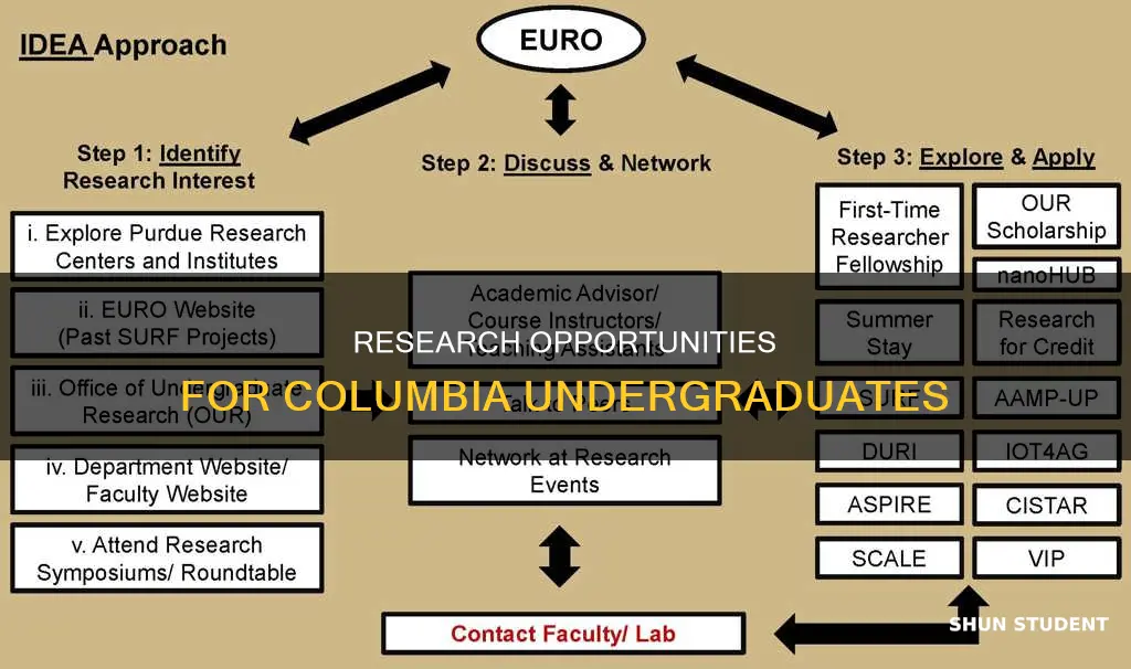 can undergraduate students at columbia university do research