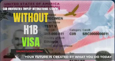 Visa-Free Hiring: Can Universities Employ International Students?