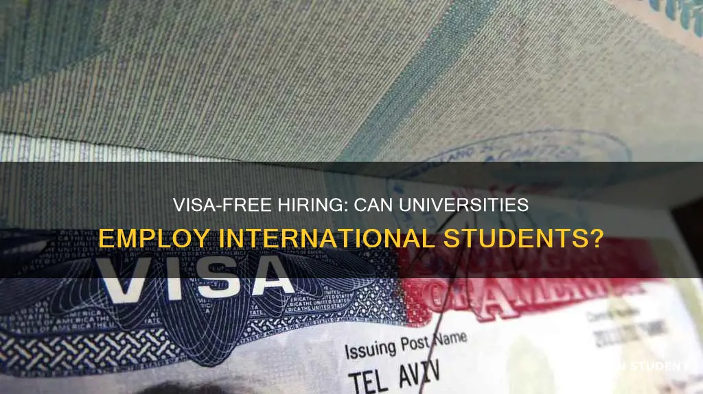 can universities employ international student without h1b visa