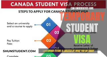 Student Visas: Temporary Options for International Students