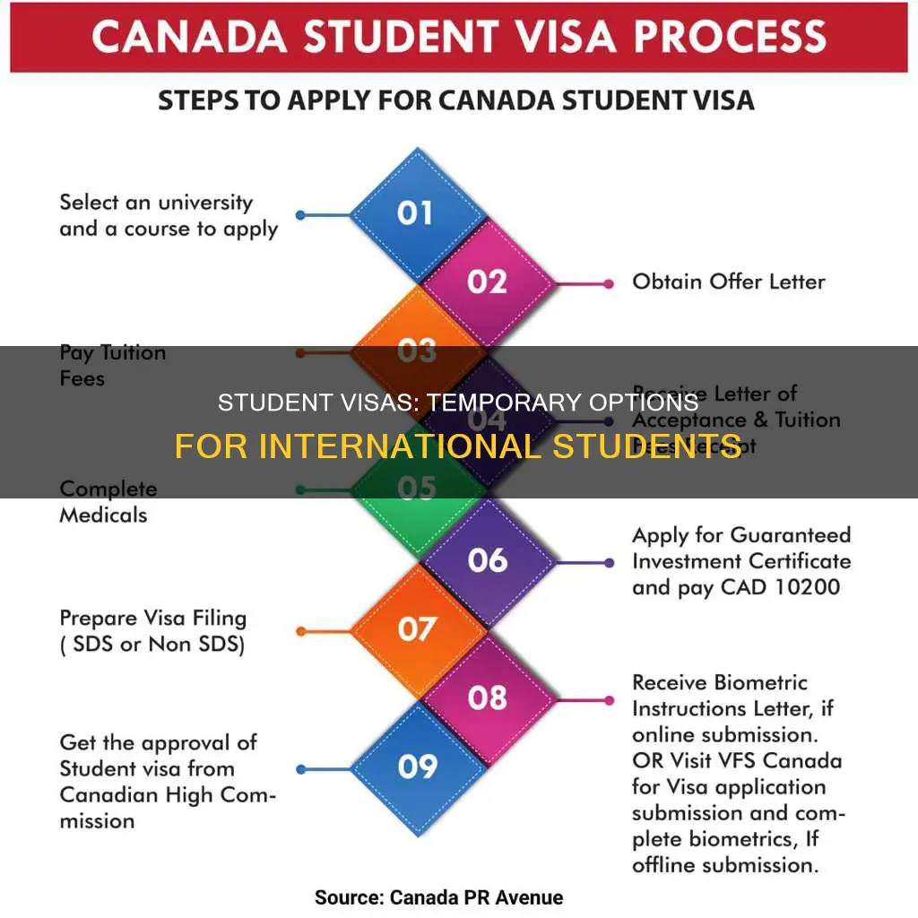 can universities give temporary student visa
