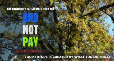 Unpaid Student Work: Ethical or Exploitative?