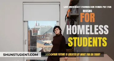 Foundation Funds: Housing Hope for Homeless Students?