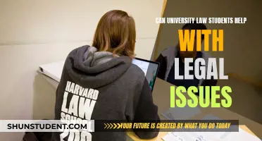 Law Students: Legal Helpers or Not Quite?