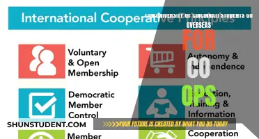 UC International Co-ops: Exploring Global Opportunities