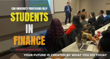 University Professors: Financial Mentors for Students