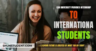 University Internships: International Students' Access Explored