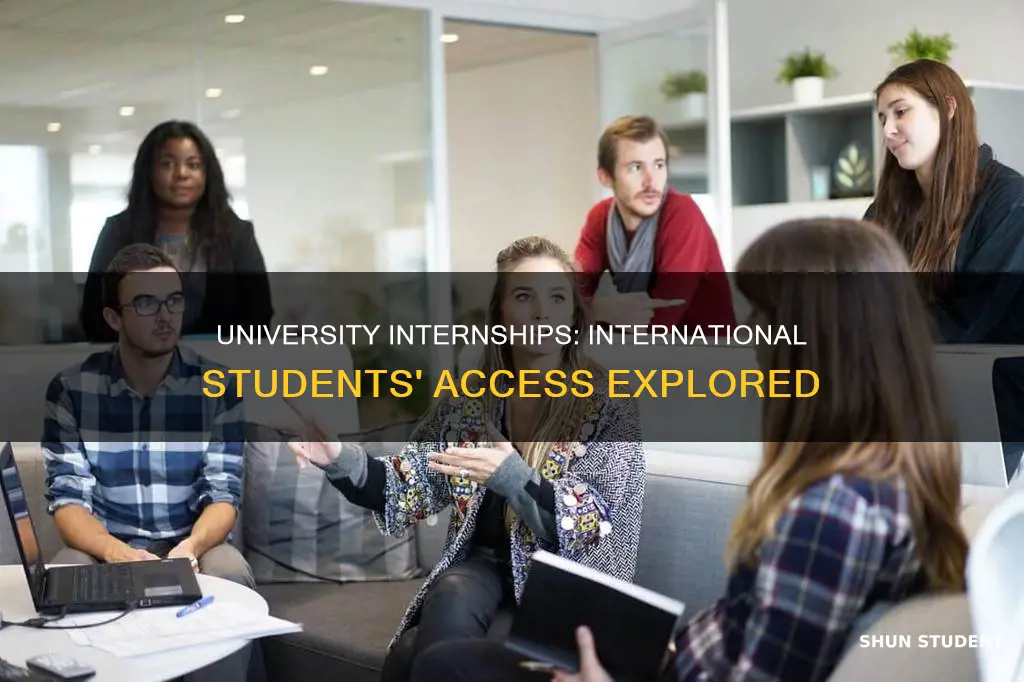 can university provides internship to international students