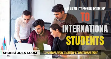 Internships: Can Universities Help International Students?