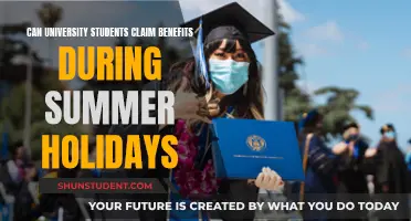 University Students: Benefits During Summer Holidays?