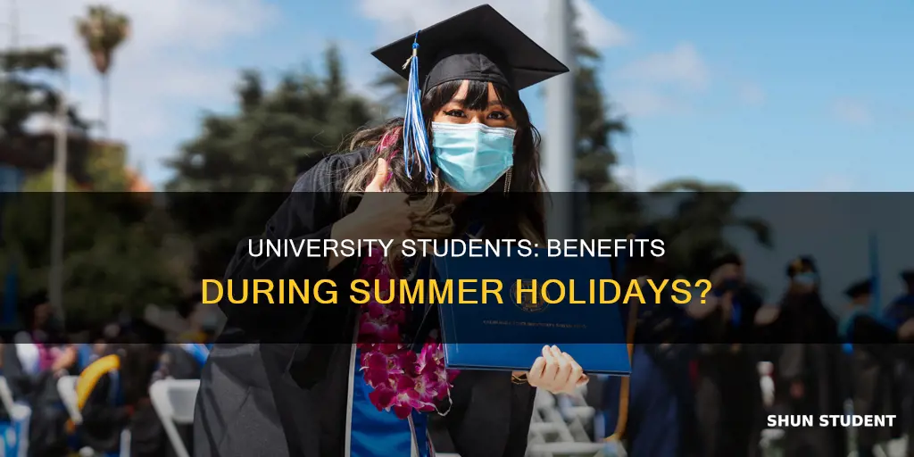 can university students claim benefits during summer holidays