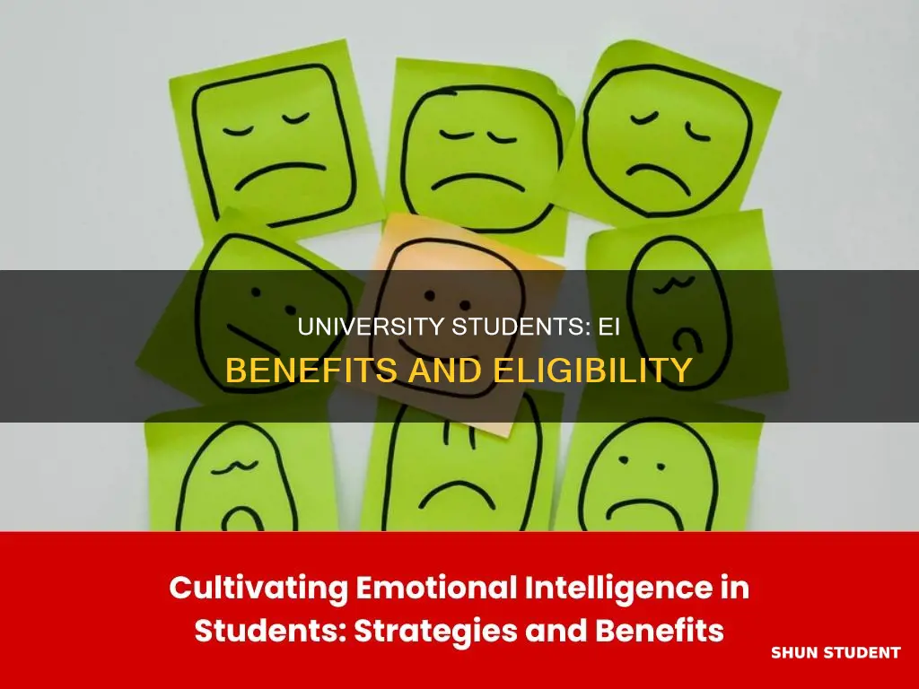 can university students collect ei