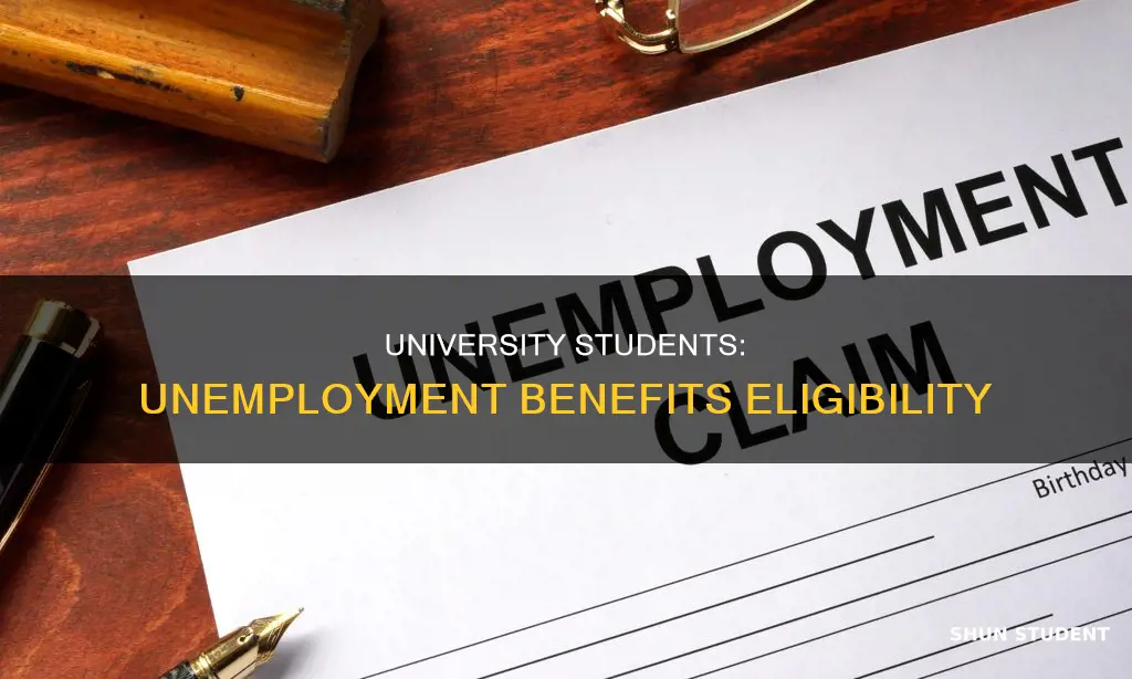 can university students file for unemployment
