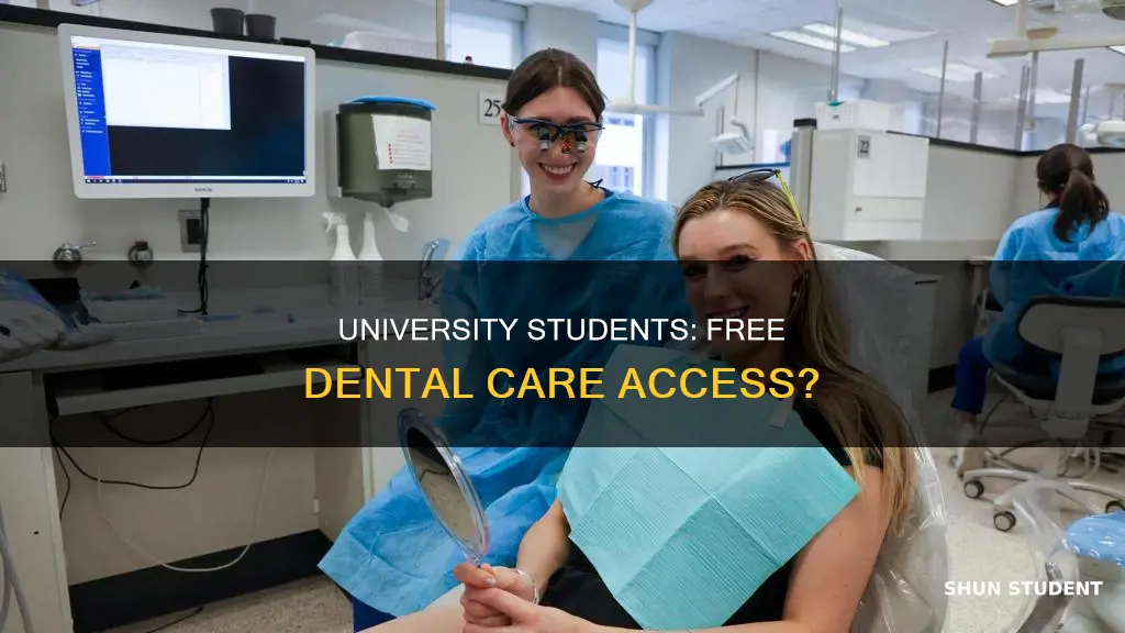 can university students get free dental care