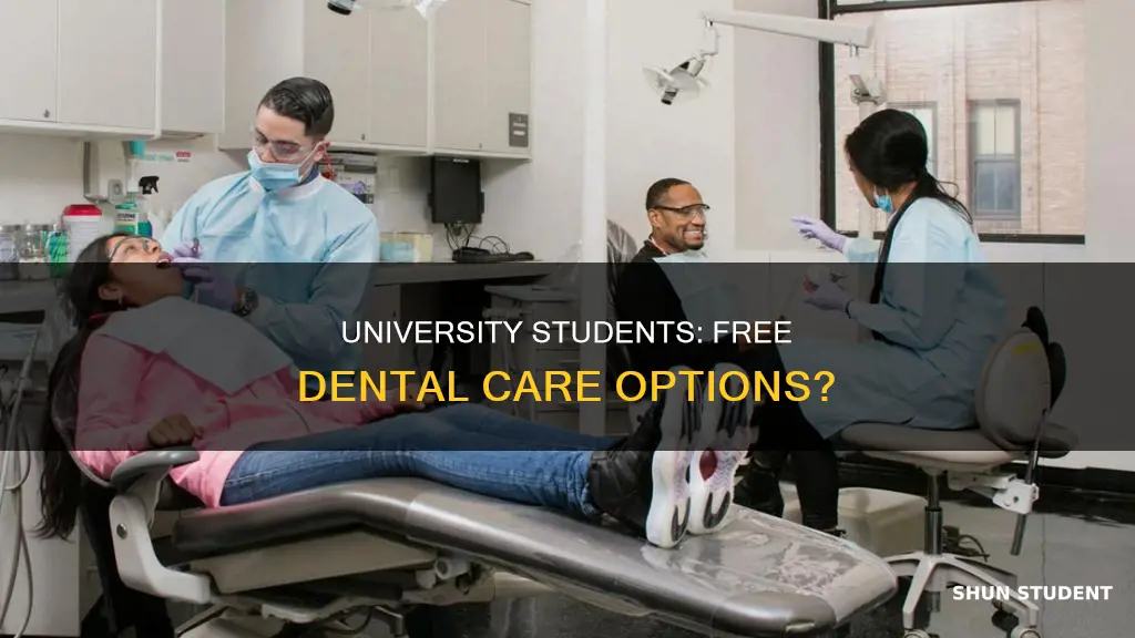 can university students get free dental care