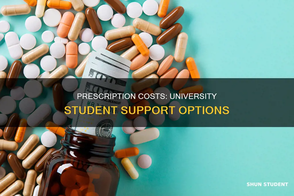 can university students get help with prescription costs