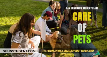 Pet Care for University Students: Is It Possible?