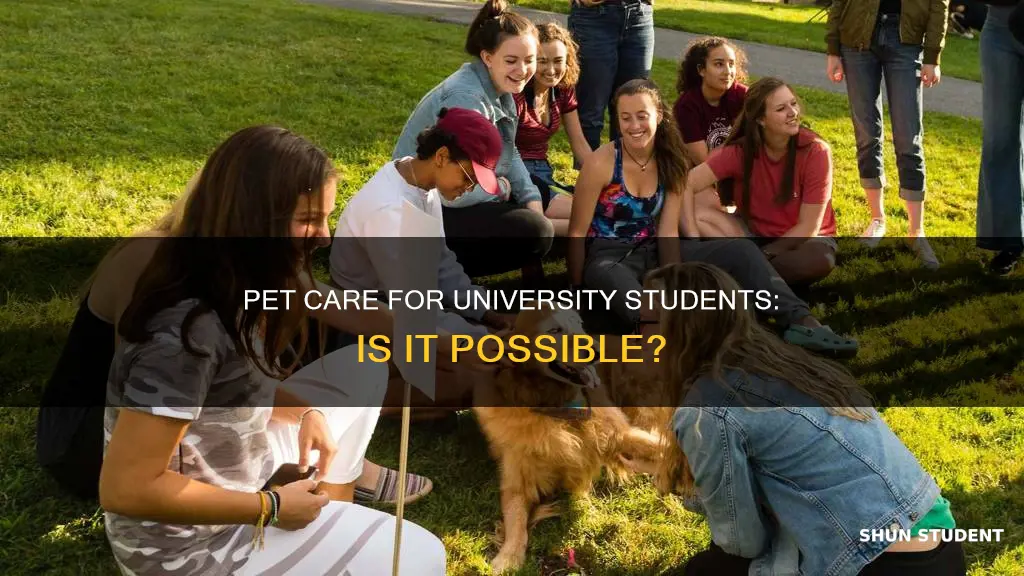 can university students take care of pets