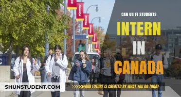F1 Students: Internship Options in Canada