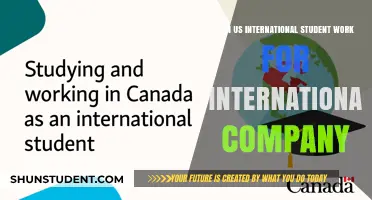International Students: Working for Global Firms
