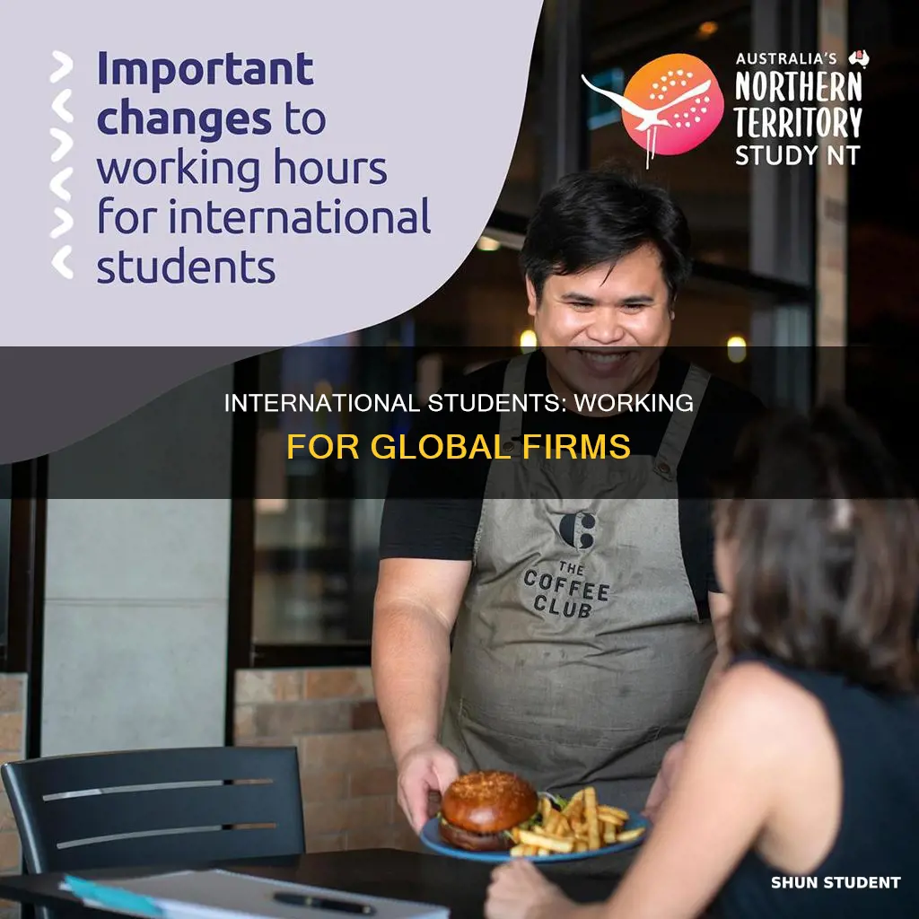 can us international student work for international company