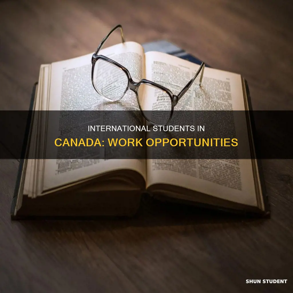 can us international student work in canada