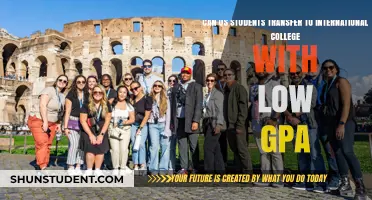 Transferring Abroad: Low GPA, High Hopes?