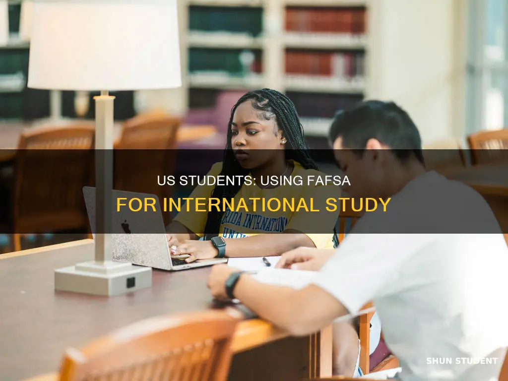 can us students use fafsa international
