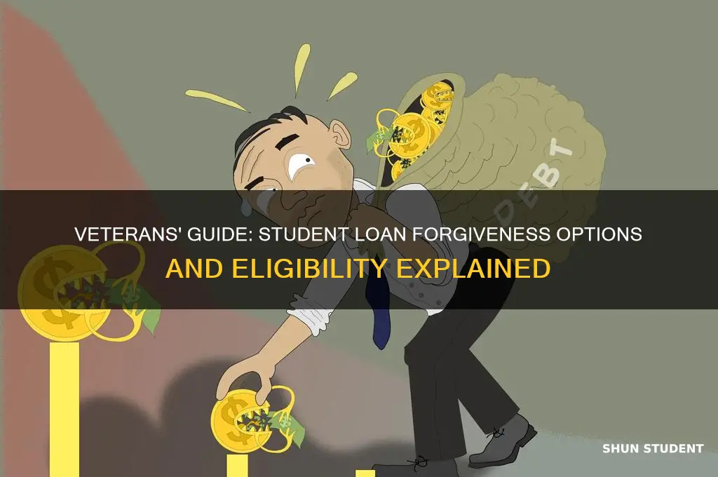 can veterans get student loans forgiven