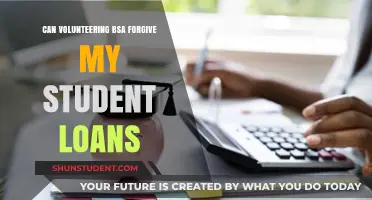 Volunteering with BSA: Can It Help Forgive Your Student Loans?