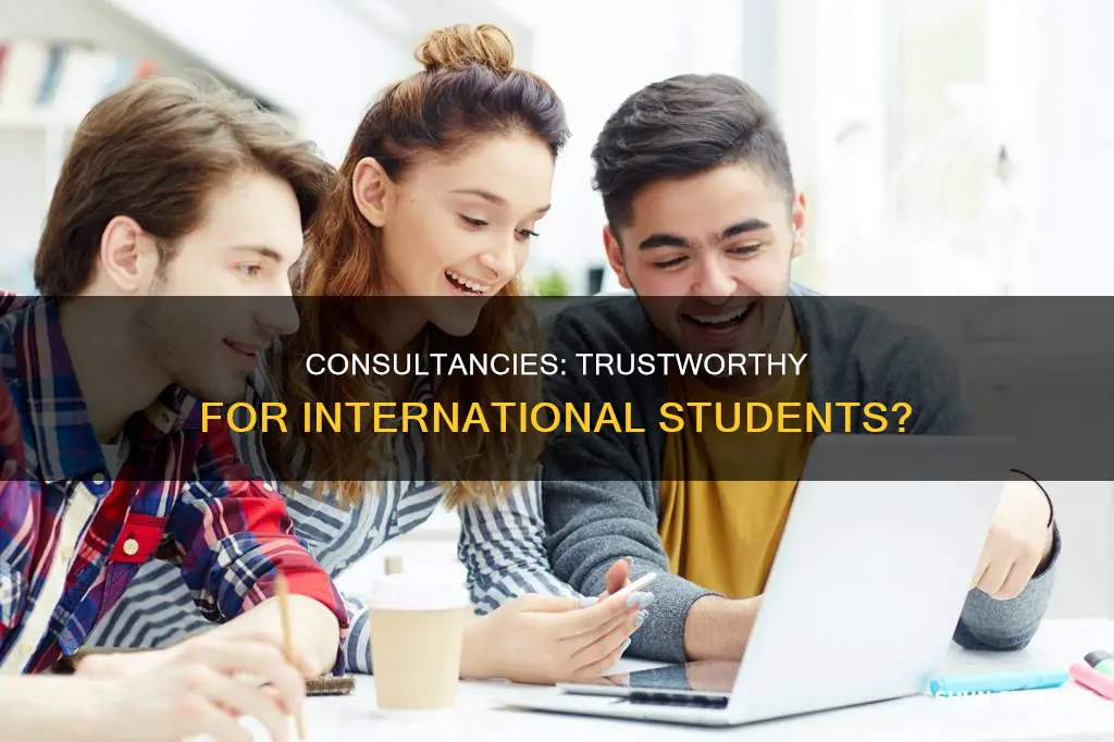 can we believe consultancies in usa as international student