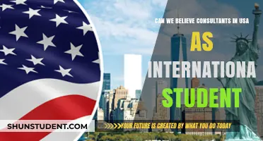 Consultant Trust: An International Student's Guide