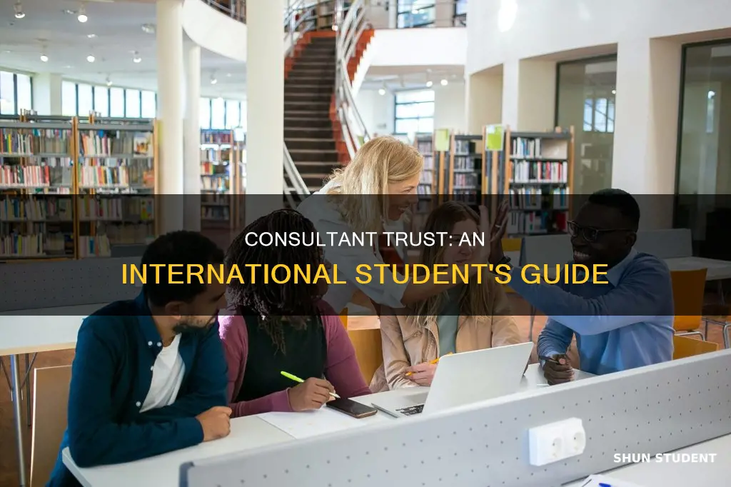 can we believe consultants in usa as international student
