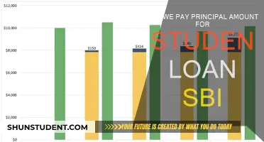 Student Loan Principal Payment: SBI Options Explored