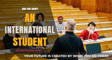 Adopting International Students: Is It Possible?