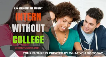 Student Internships: College-Free Applications