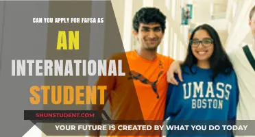 FAFSA: International Students' Eligibility and Application Process