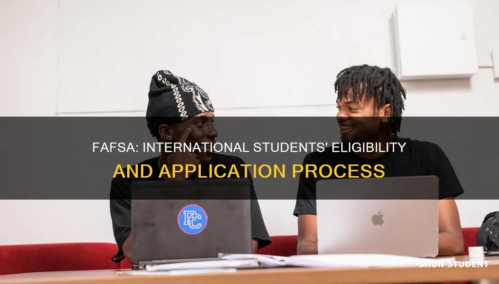 can you apply for fafsa as an international student