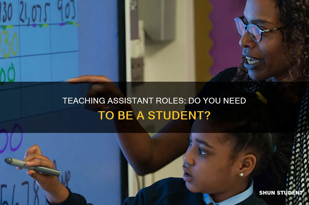 can you be a teaching assistant without being a student