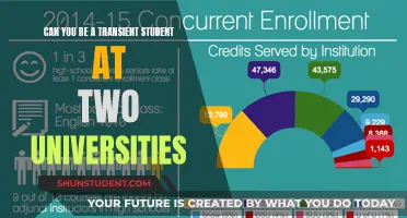 Studying at Two Universities: Transient Student Options