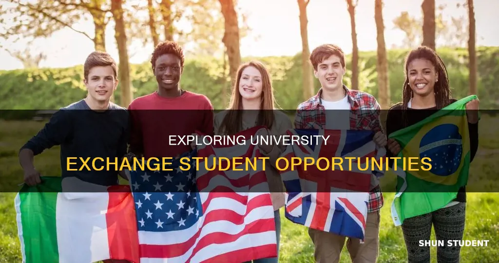 can you be an exchange student in university