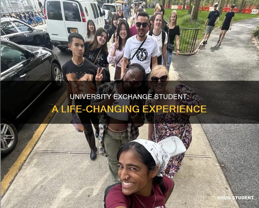 can you be an exchange student in university