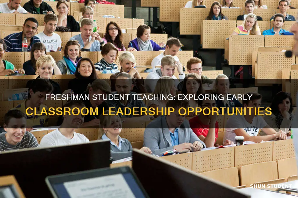 can you be an student teacher as a freshman