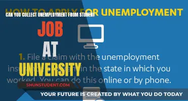 Unemployment Benefits for Student Jobs: What's the Deal?