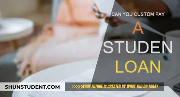 Custom Student Loan Payments: A Smart Strategy?