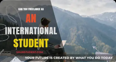 Freelancing as an International Student: What You Need to Know