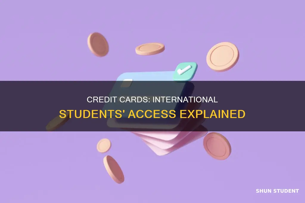 can you get a credit card as an international student