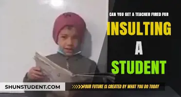 Can Teachers Be Fired for Insulting Students? Legal Insights