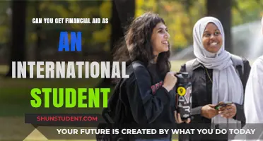 International Students: Financial Aid Options Explored