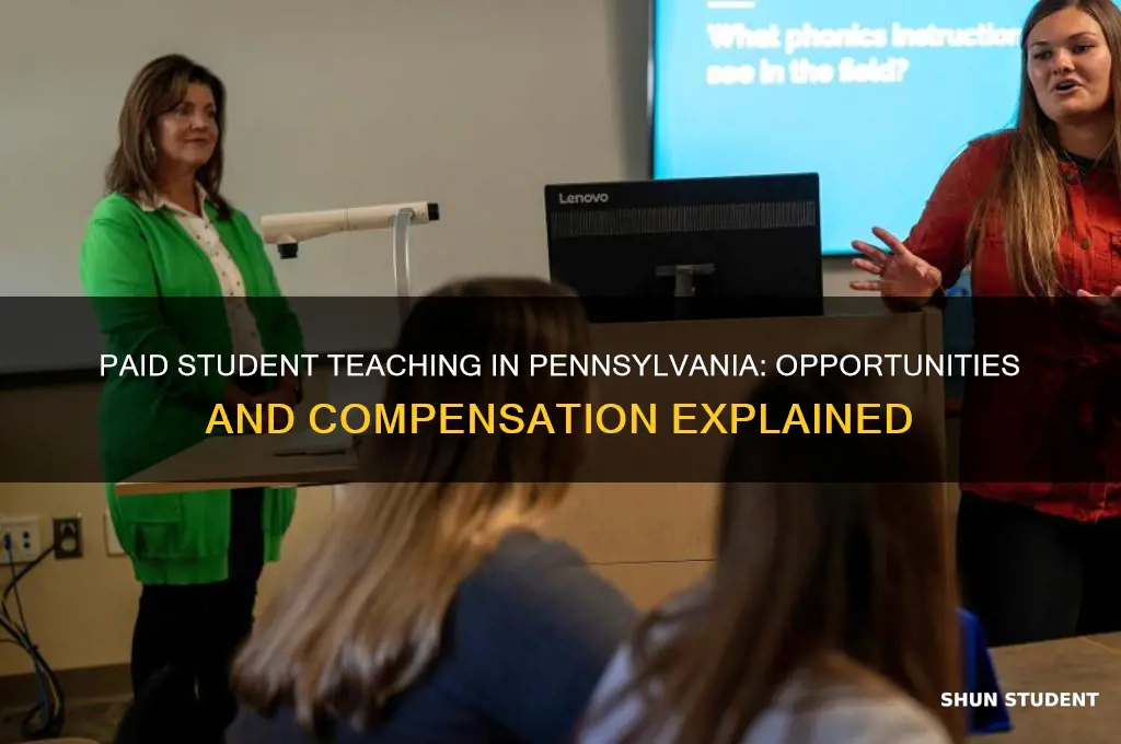 can you get paid for student teaching in pennsylvania